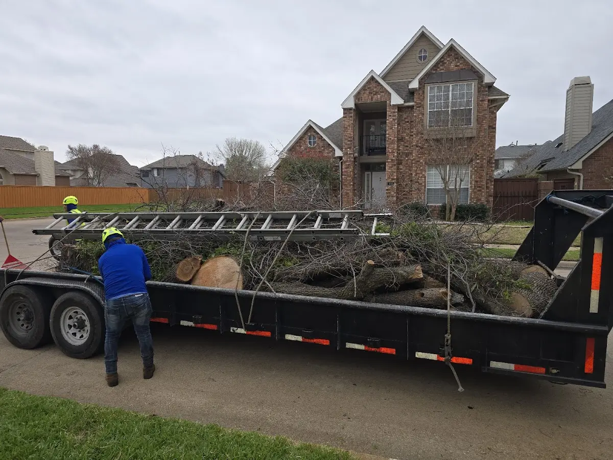 Expert Tree Pest Control with proper safety equipment in Enterprise